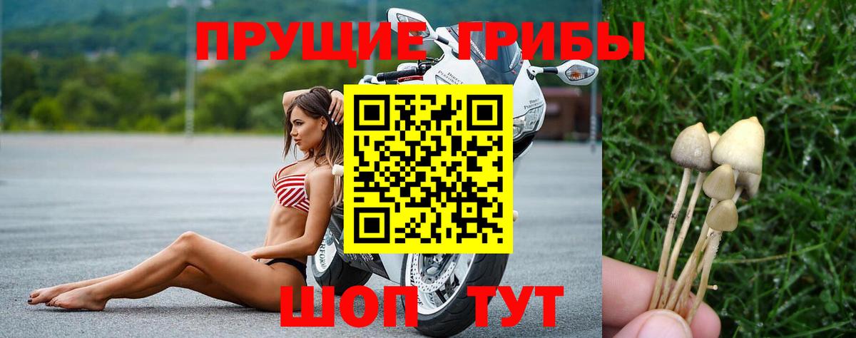 Галлюциногенные грибы мухоморы  Вход с VPN  Асино 