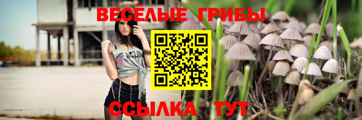 Псилоцибиновые грибы MAGIC MUSHROOMS Асино